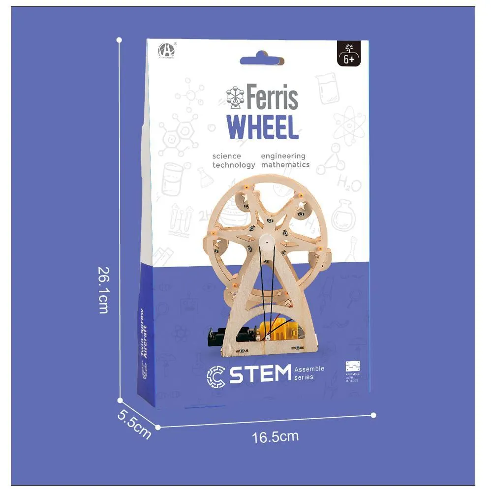 Ferris Wheel Stem Toys