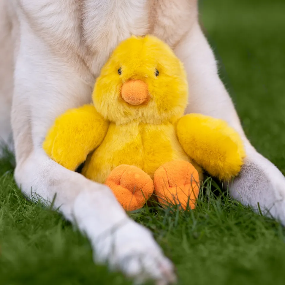 Fluff & Tuff Howie Duck Plush Dog Toy