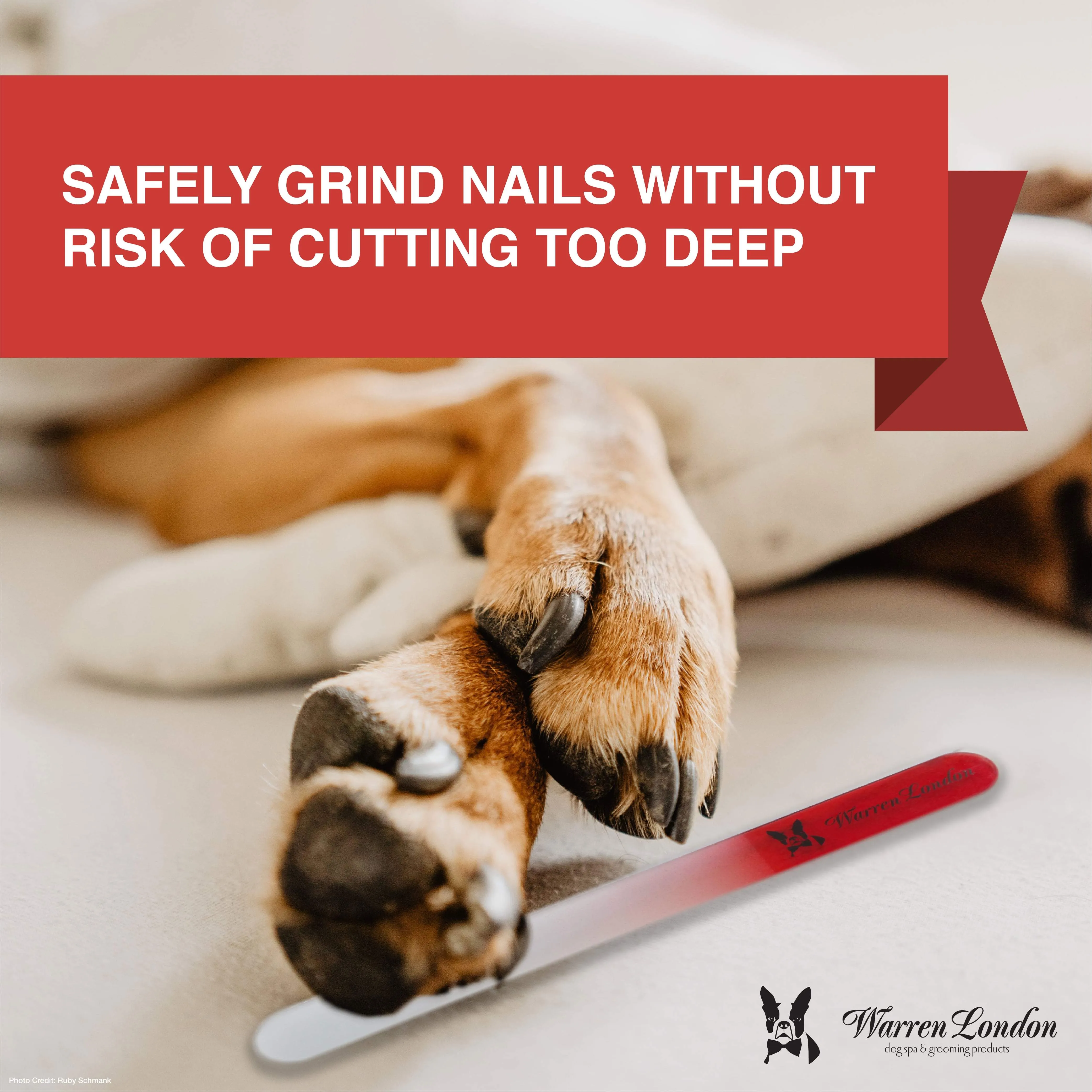 Glass Nail File for Dogs