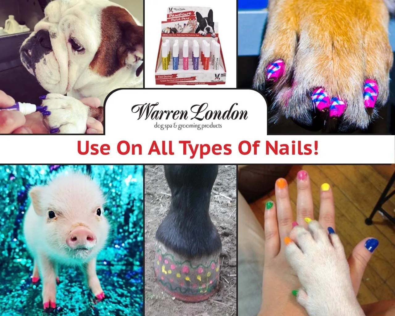 Pawdicure Polish Pens - Choose From 13 Colors! - Dog Nail Polish