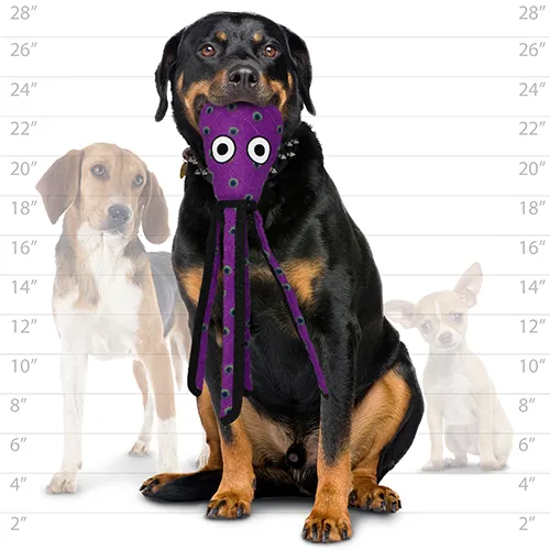 Tuffy Dog Toys - VIP Products - Tuffy Ocean Squid - Purple, Durable, Tough, Squeaky Dog Toy